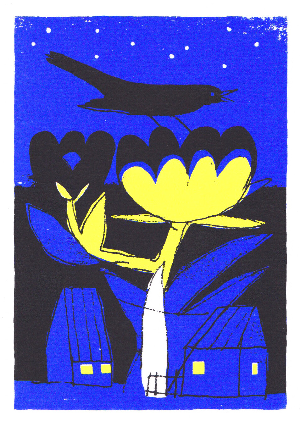 blackbird (A4) FREE SHIPPING