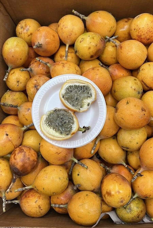 Granadilla 1 libra 