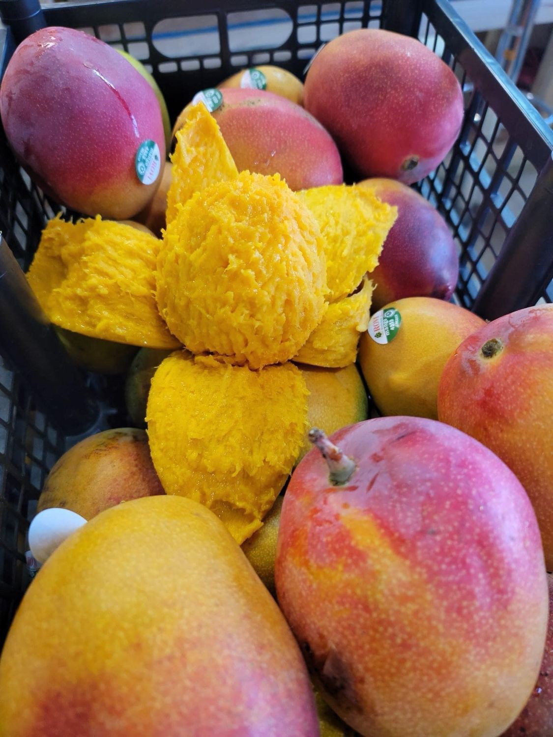 Mango Aden o mango miel 