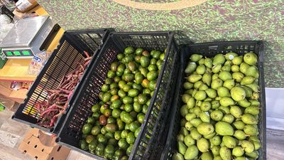 Caja de mango 20 libra 