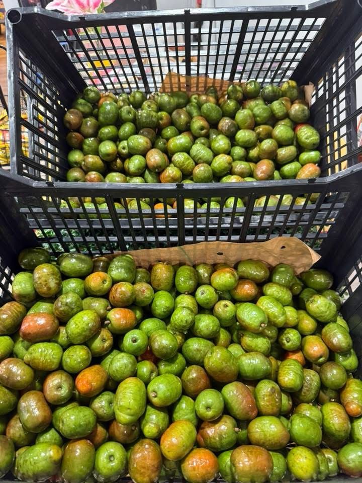 Jocote o ciruela 