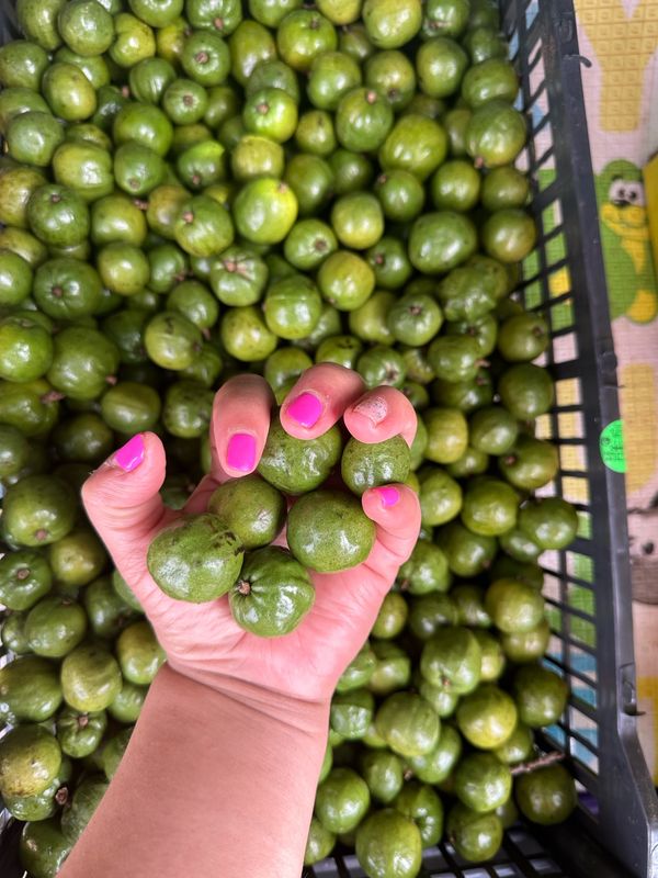 Jocote o ciruela 2 libras 