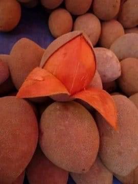 Zapote 2 libras 