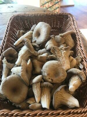 Oyster Mushroom 200g