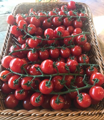 Tomatoes Cherry on the Vine 200g