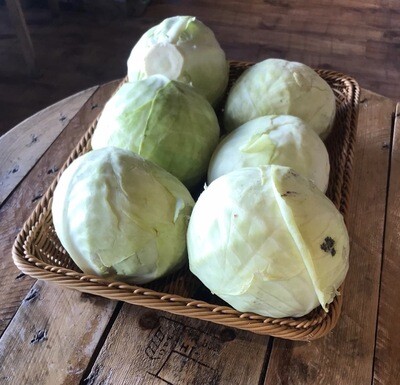 Cabbage white 1kg
