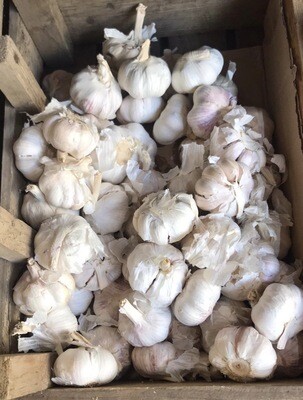 Garlic 100g