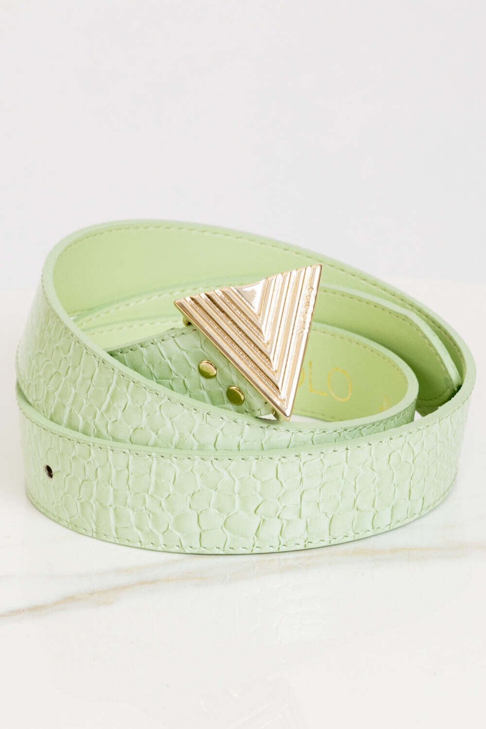 Vicolo - Cinta coccodrillo con logo Art. AB0037 Verde