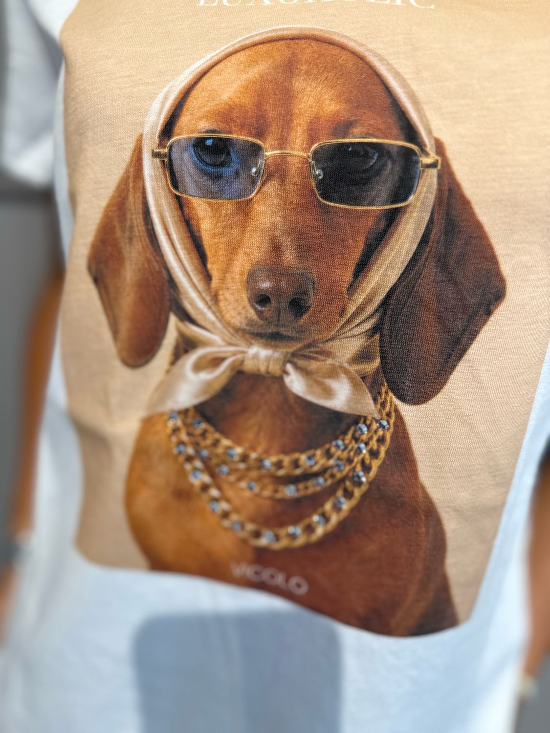 VICOLO - t-shirt cane con brillantini RAC0200