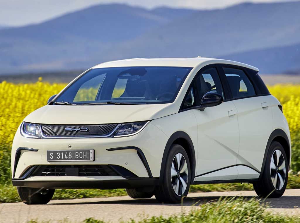 Body dimensions  Collision repair