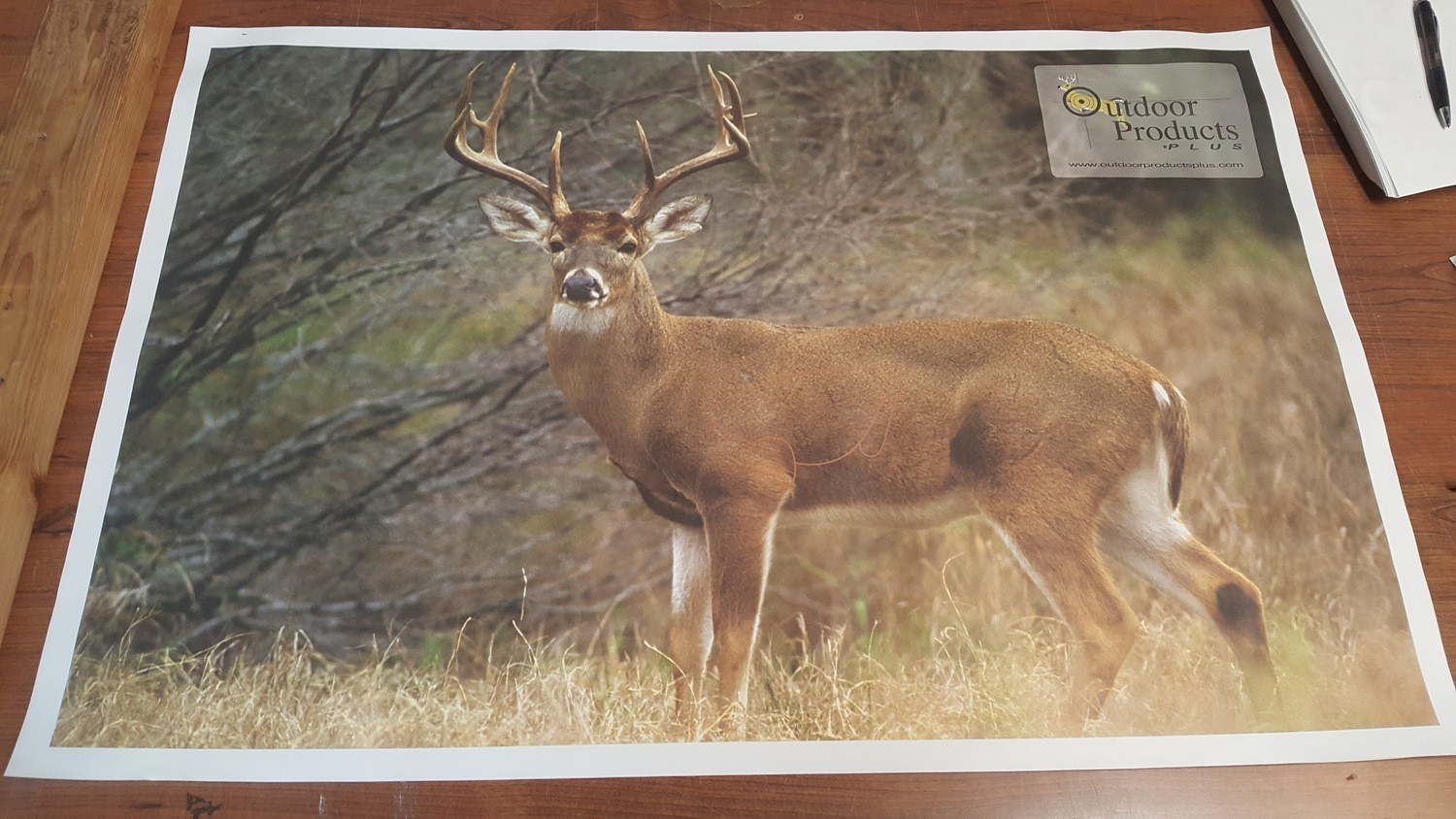 Large Format Targets (50 SHEETS PER PACK)