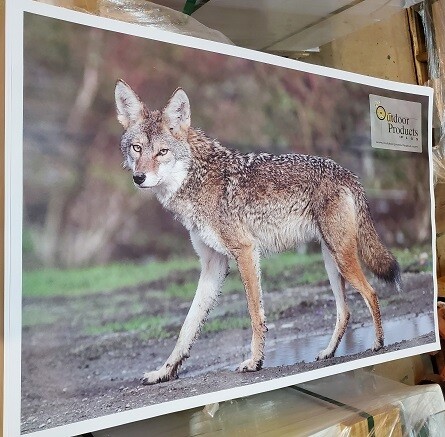 Large Format Targets (50 SHEETS PER PACK)