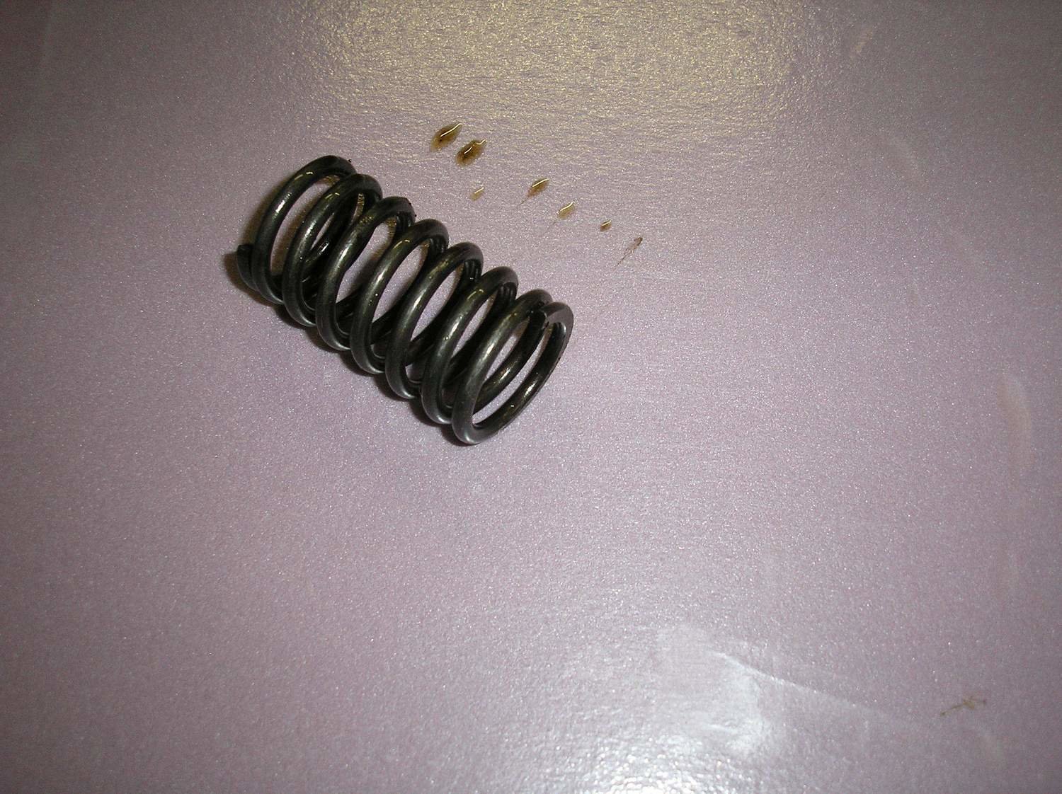 Outer valve spring