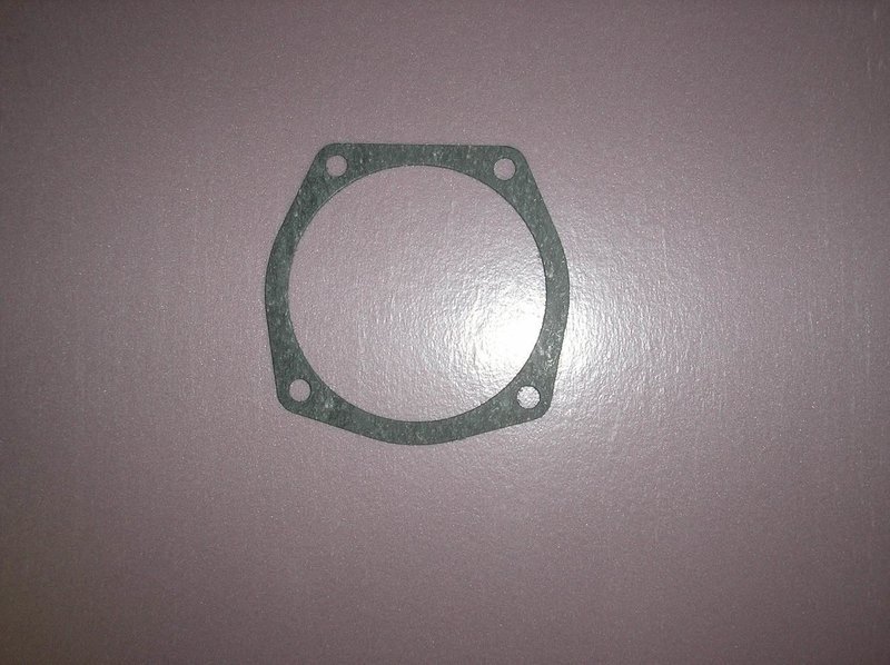 Fuel filter gasket