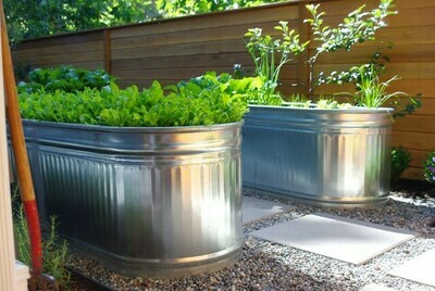 Raised Beds &amp; Growing Bags