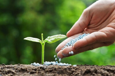 Soil Amendement & Fertilizer