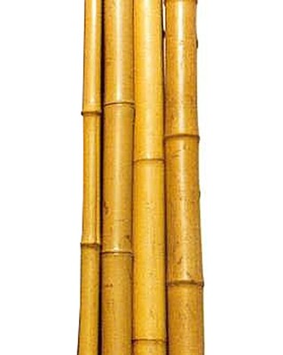 LL BOND Bamboo Pole 8'x1.25" 91148