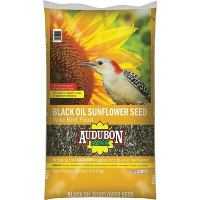 Audubon Park Black Oil Sunflower Seed - 3 sizes