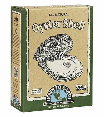 DowntoEarth Oyster Shell 1#