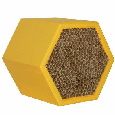 Honeycomb Modular Bee House