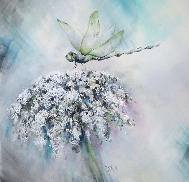 Dragonfly & Queen Anne's Lace (Zoom Recording includes e packet)