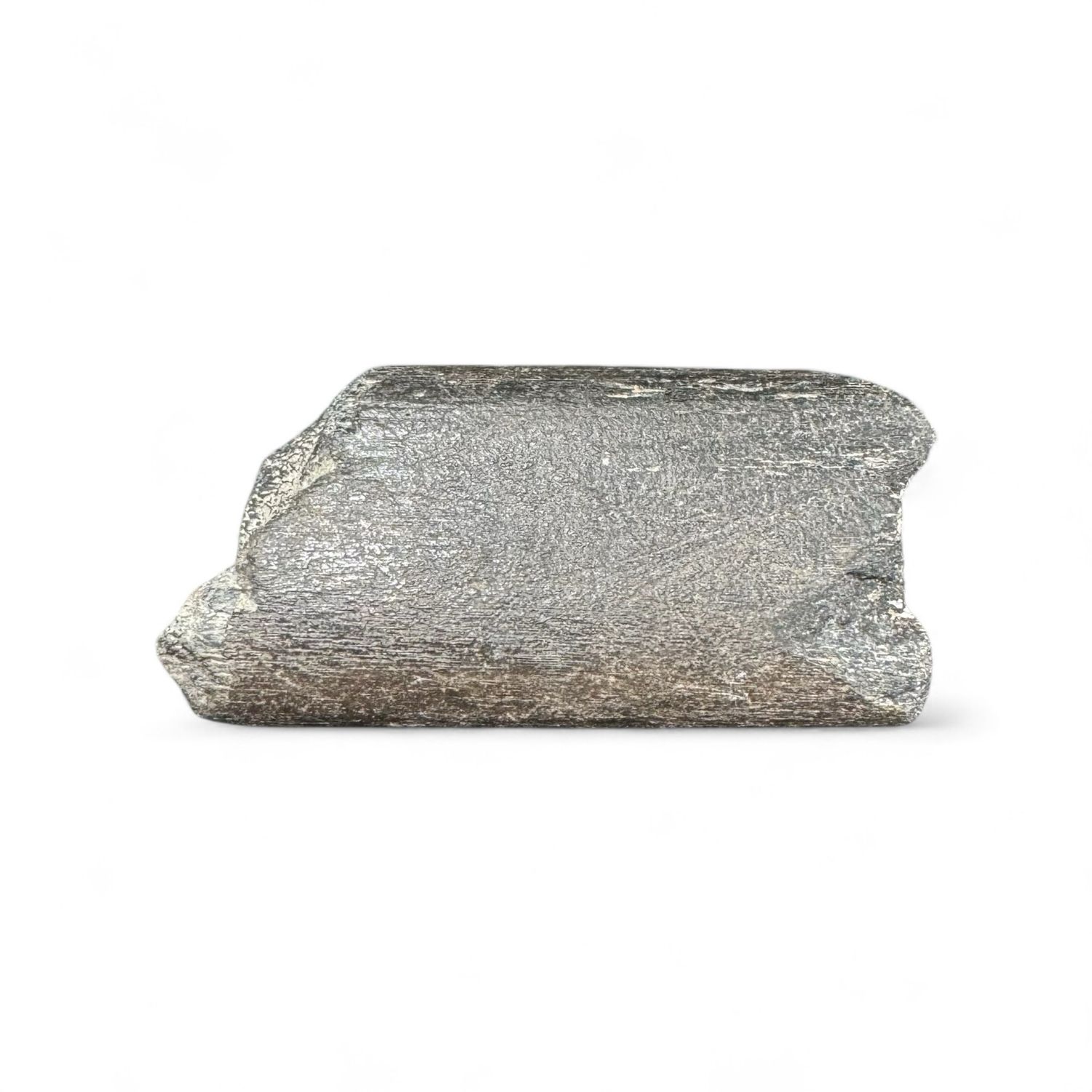 Isle Of Wight Predator Dinosaur Rib Bone