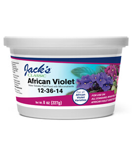 African Violet 12-36-14