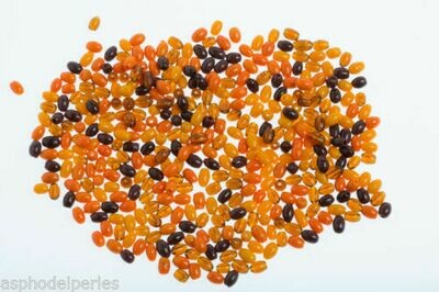 Mélange perles de verre artisanales ovales 5 mm orange topaze brillant 20g