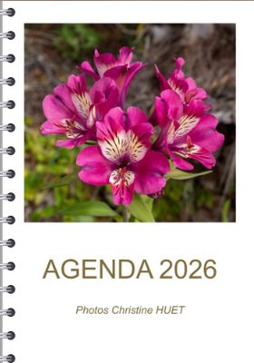 Agenda gros caractères 2026