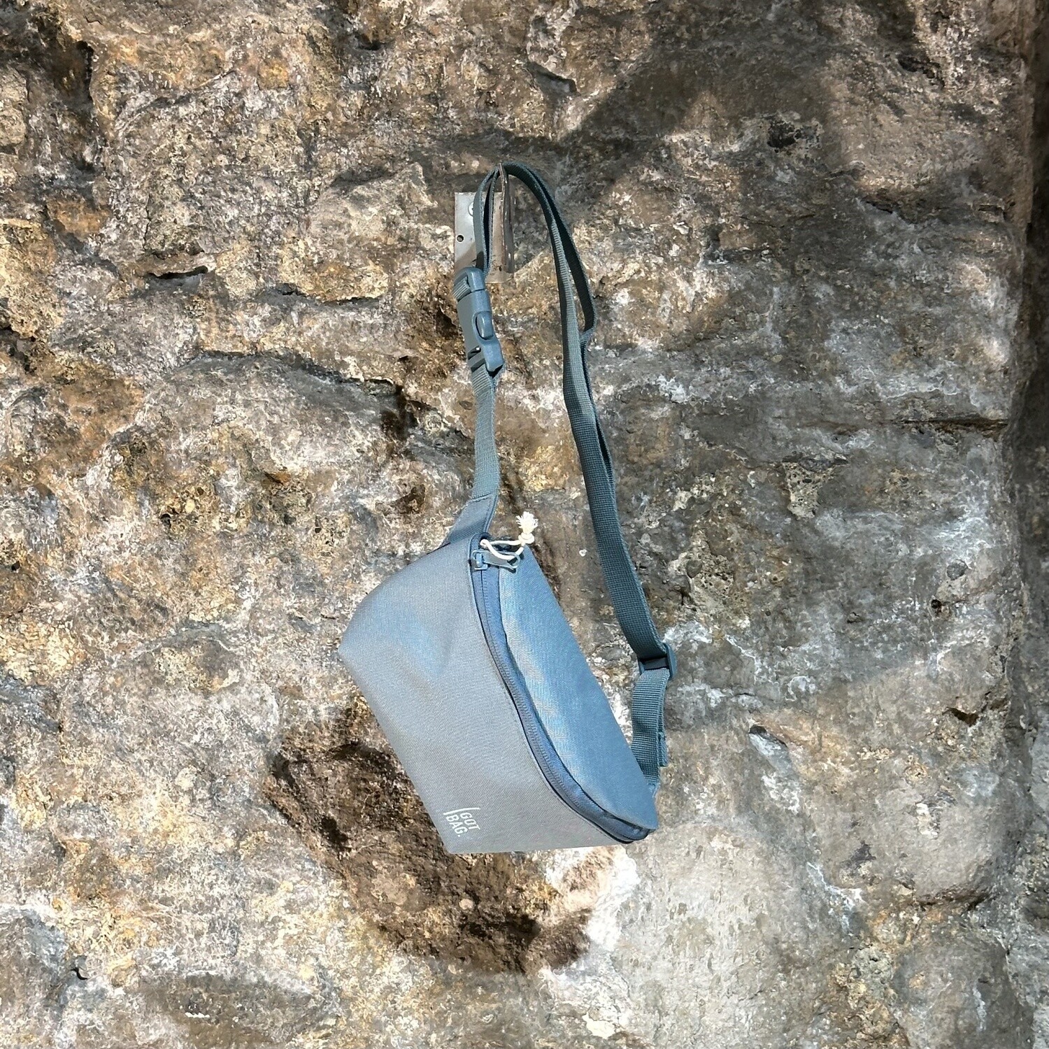 Got Bag — Hip Bag dolphin