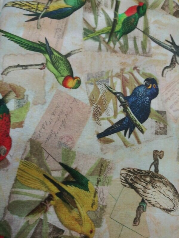 Springs Creative Fabric-Exotic Bird