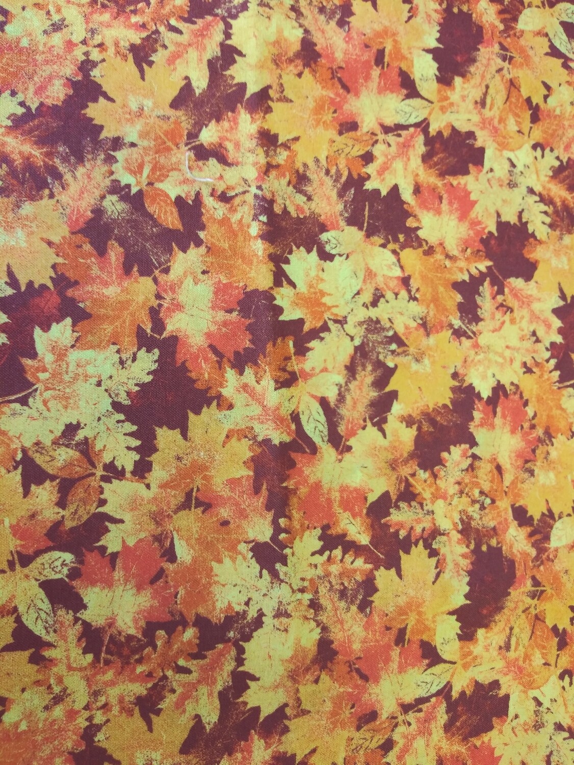 Tossed Leaves by Springs Creative-Price Per Yard