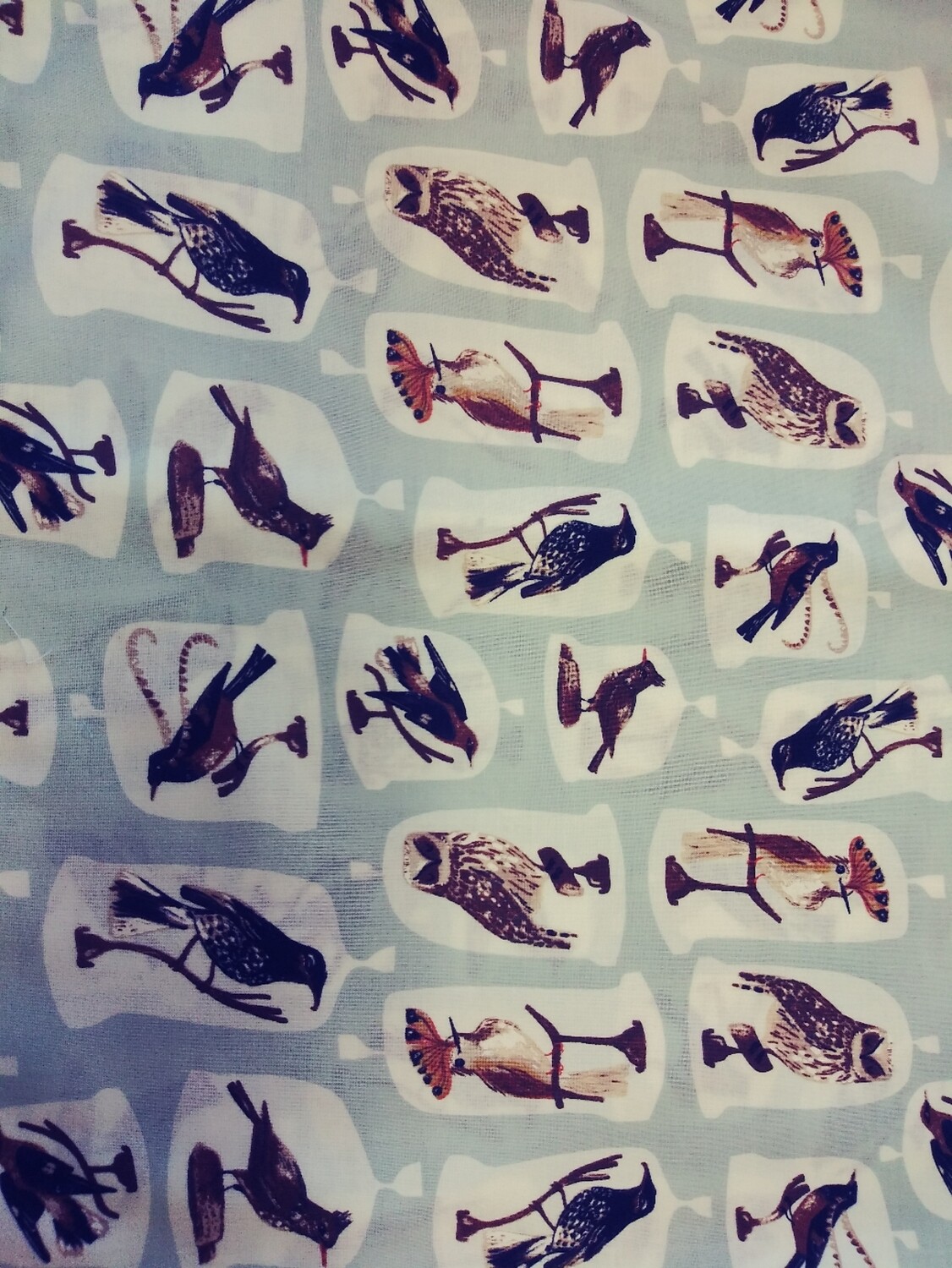 Dear Stella Natural History by Rae Ritchie STELLA SRR 1086 Misty Bird Cloches-Price per Yard