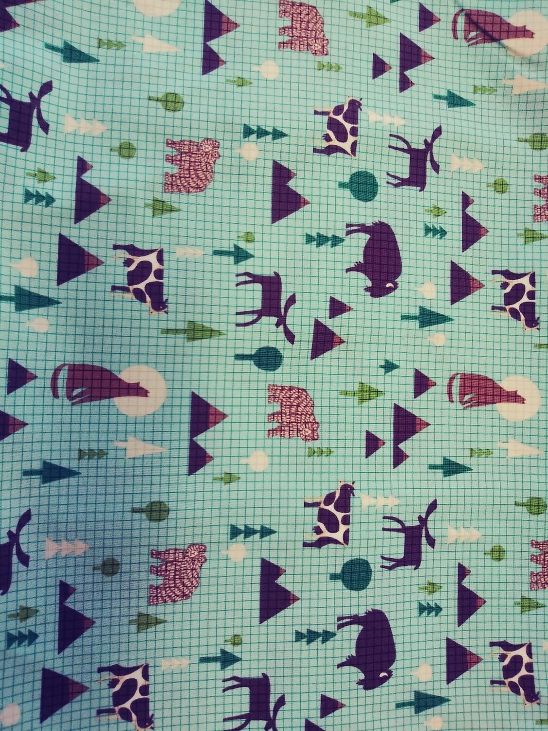 Coast to Coast by Wild Apple for Windham Fabrics-Price per Yard