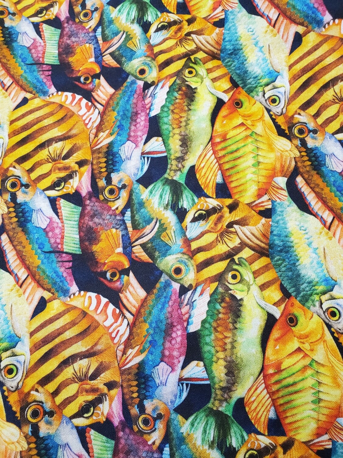 Tropical Fish by Springs Creative