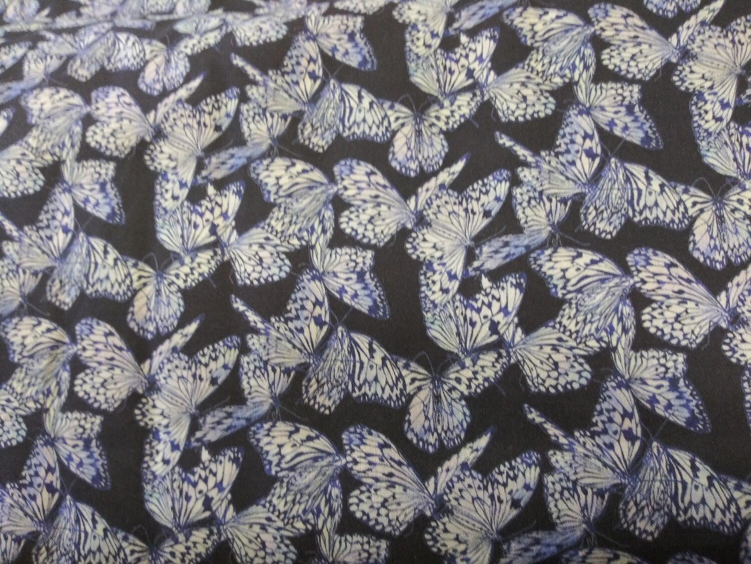 Feathered Beauty Butterfly by Kate Ward Thacker for Springs Creative