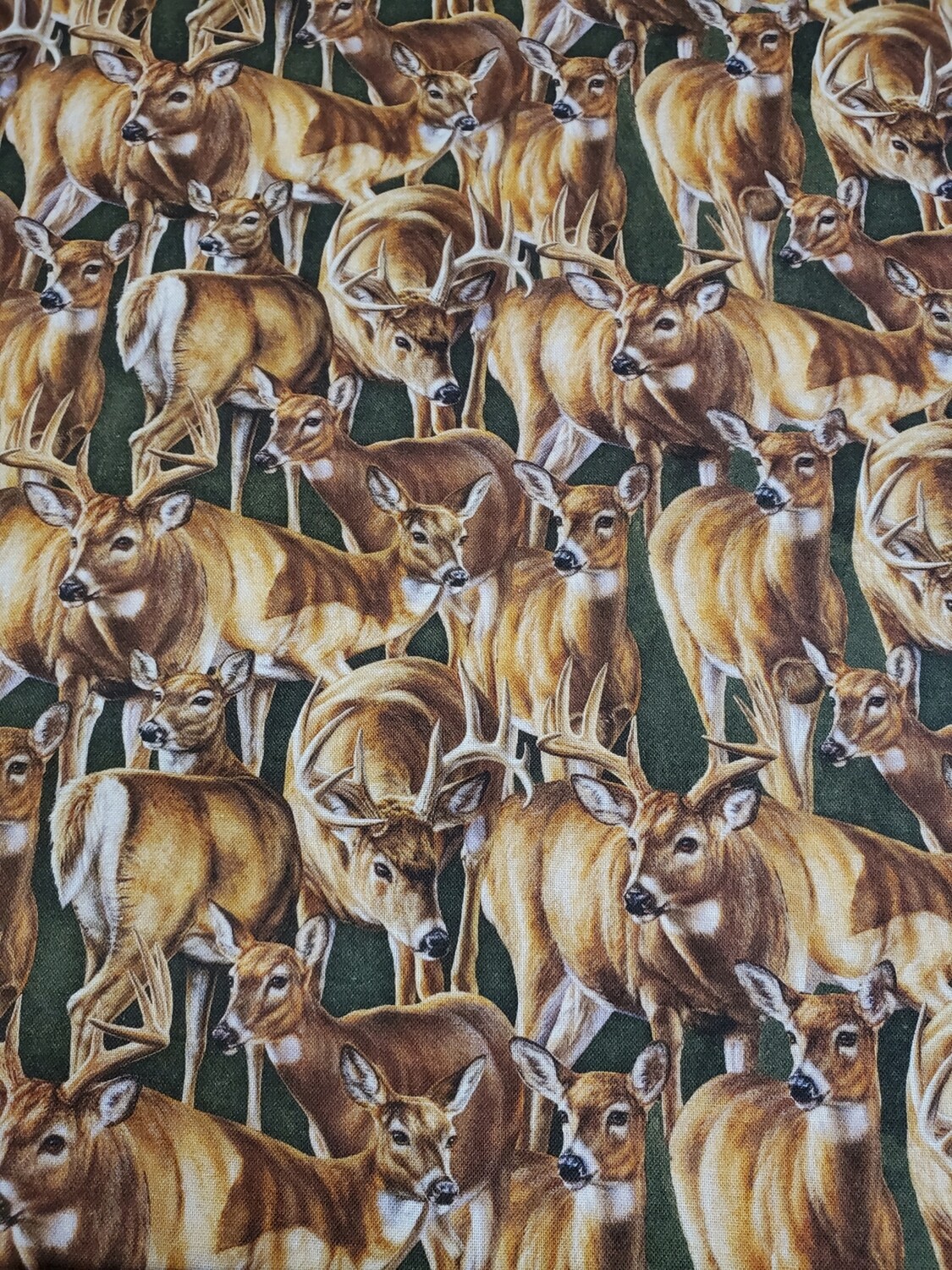 Stoney Brook Deer by Rosemary Millette for Springs Creative