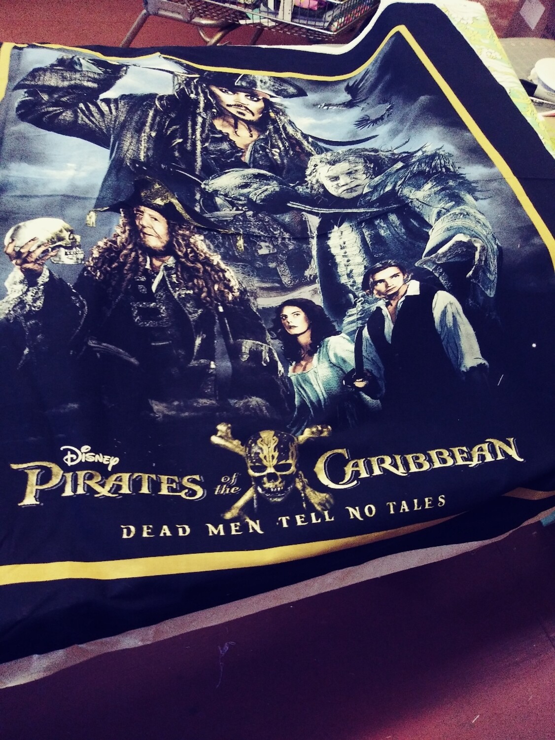 Pirates of the Caribbean Panel