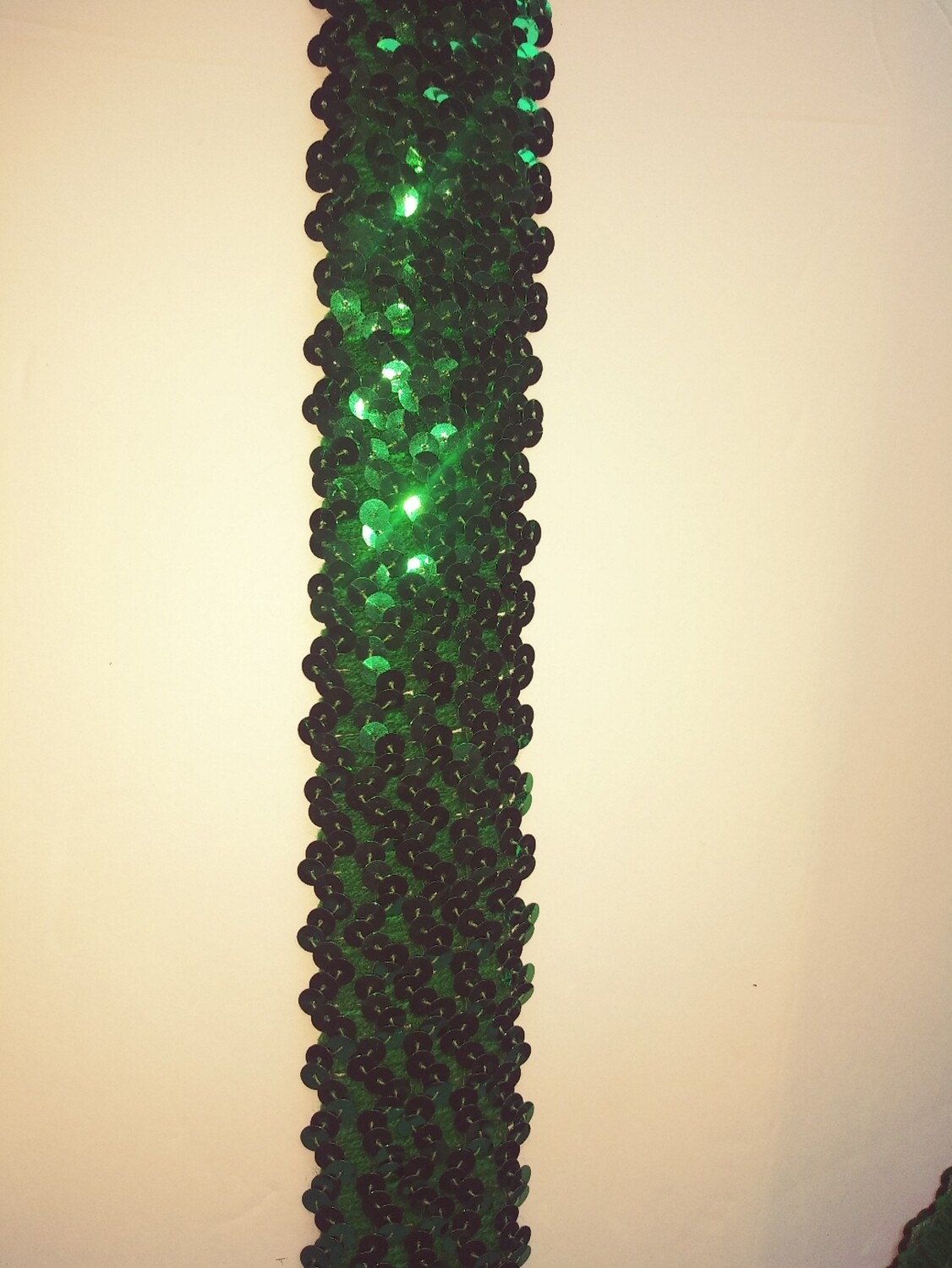 Sequined Elastic Trim 2" Wide, Price per Yard