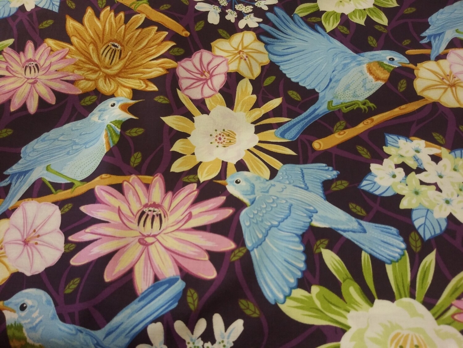 Contempo's Nightingale by Amanda Murphy for Benartex- Price per Yard