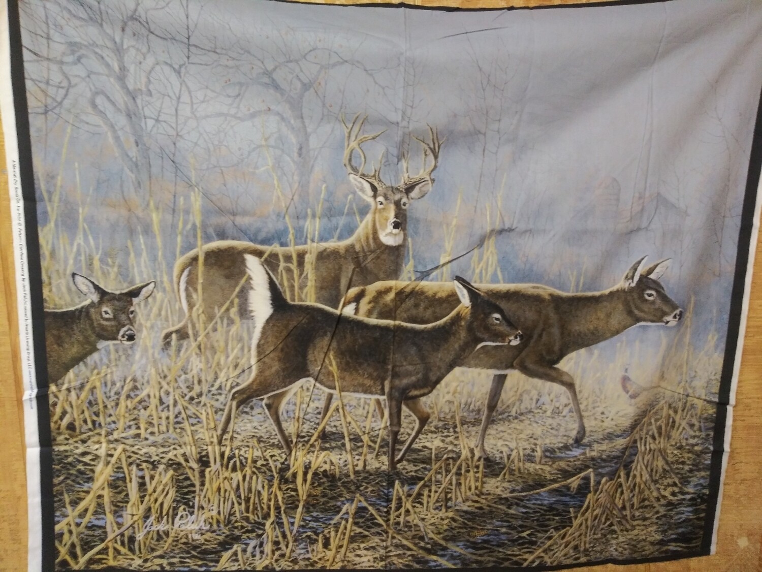 Cornfield Crossing by Jack Paluh for Marshall Dry Goods 36" x 44"