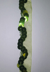 Lime Sequins on Sheer Ribbon Trim, 3/4" Wide - 10 Yards