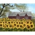 Sunshine Canvas by  Billy Jacobs, 8" x 10"