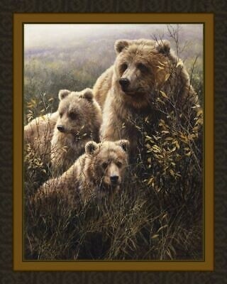 Denali Family Grizzly Bears by John Seerey-Lester