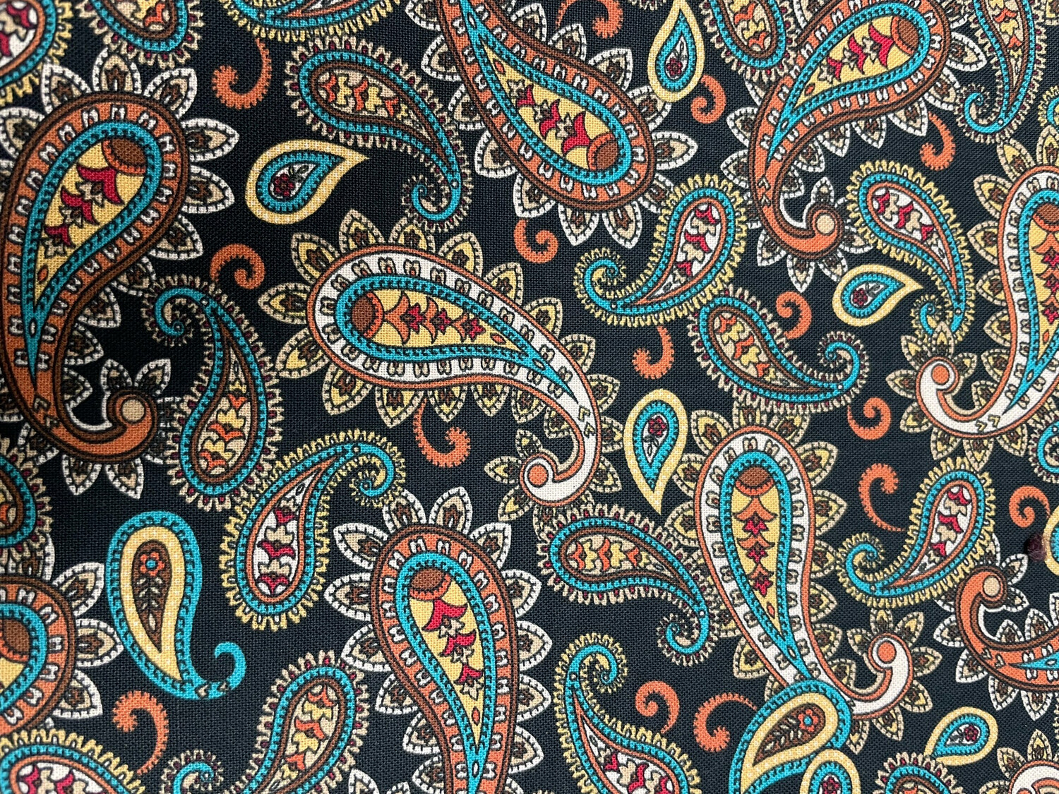 Isabella In Paisley By Quilting Treasures 
