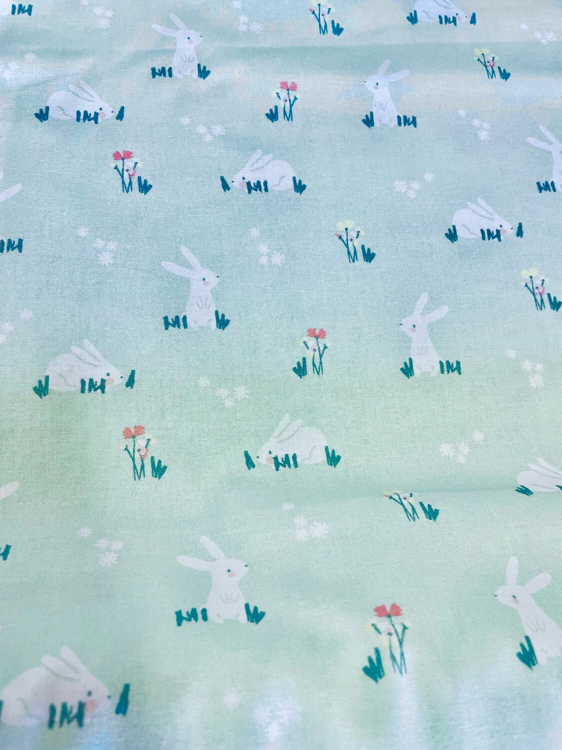 Sunny Bunny Allover By Springs Creative
