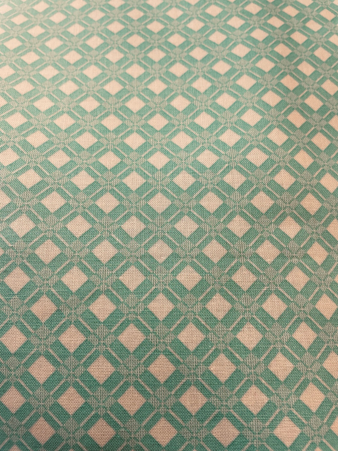 Check Basket In Aqua