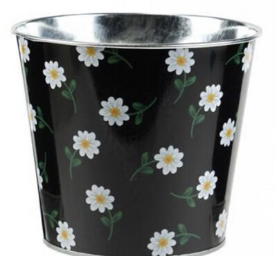 Daisy On Black Bucket With Liner
