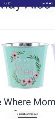 Mom Bucket In Mint With Liner
