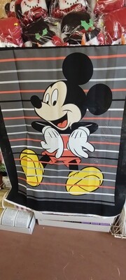 Mickey Panel, 36